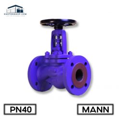 Van Cầu Thép MANN PN40