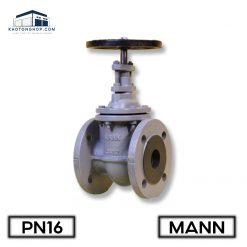 Van cổng MANN ty chìm PN16